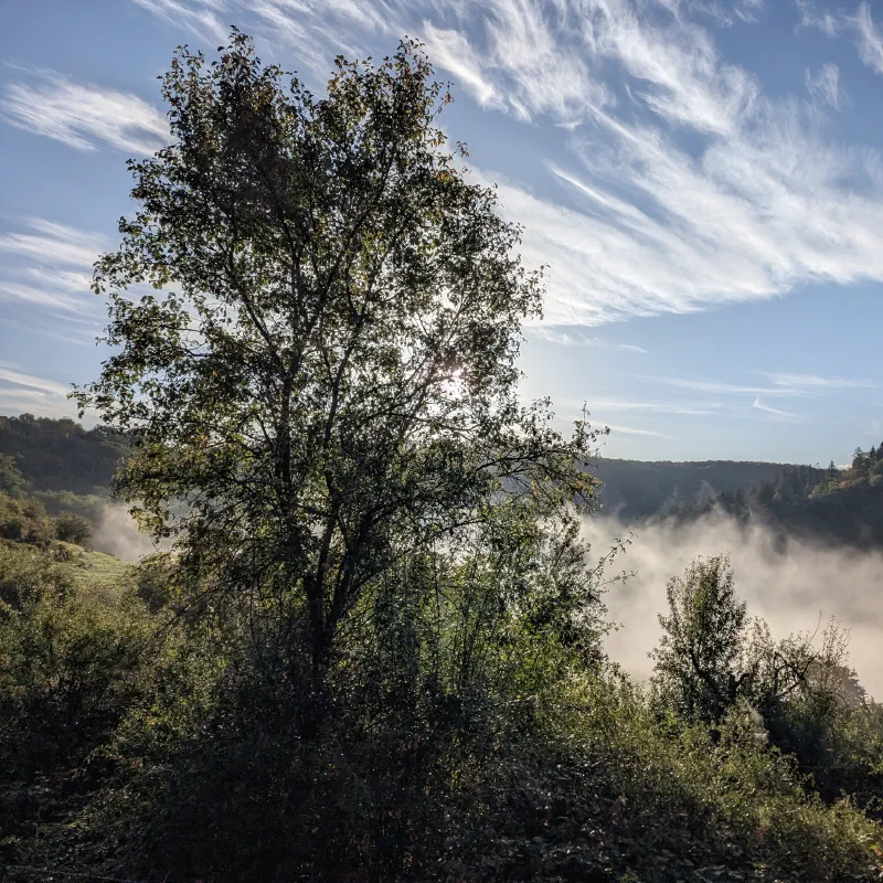 Lahn valley in fog – Photo 3